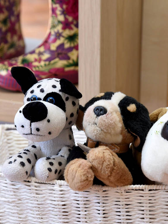 Website Photo 06